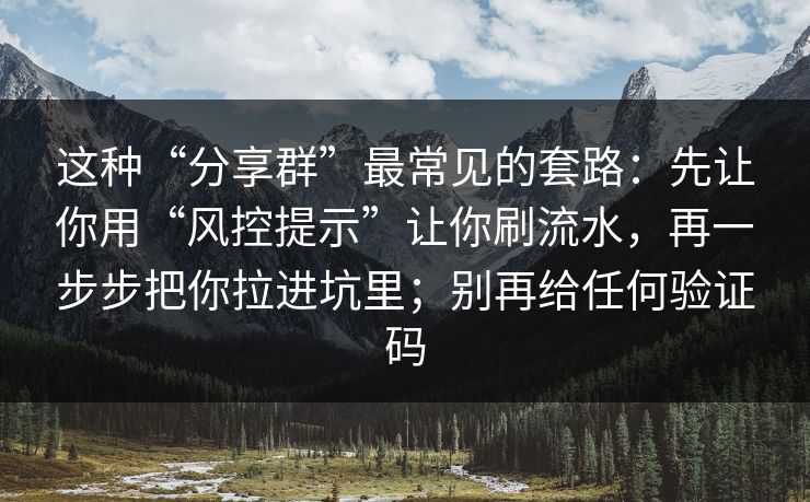 这种“分享群”最常见的套路：先让你用“风控提示”让你刷流水，再一步步把你拉进坑里；别再给任何验证码