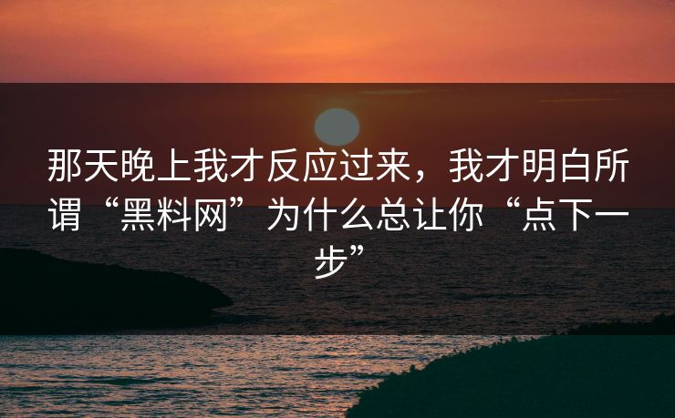 那天晚上我才反应过来，我才明白所谓“黑料网”为什么总让你“点下一步”