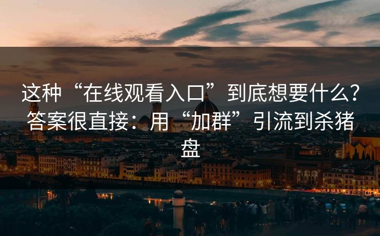 这种“在线观看入口”到底想要什么？答案很直接：用“加群”引流到杀猪盘