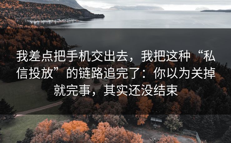 我差点把手机交出去，我把这种“私信投放”的链路追完了：你以为关掉就完事，其实还没结束