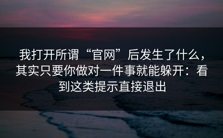 我打开所谓“官网”后发生了什么,其实只要你做对一件事就能躲开:看到这类提示直接退出 我打开所谓“官网”后发生了什么,其实只要你做对一件事就能躲开:看到这类提示直接退出