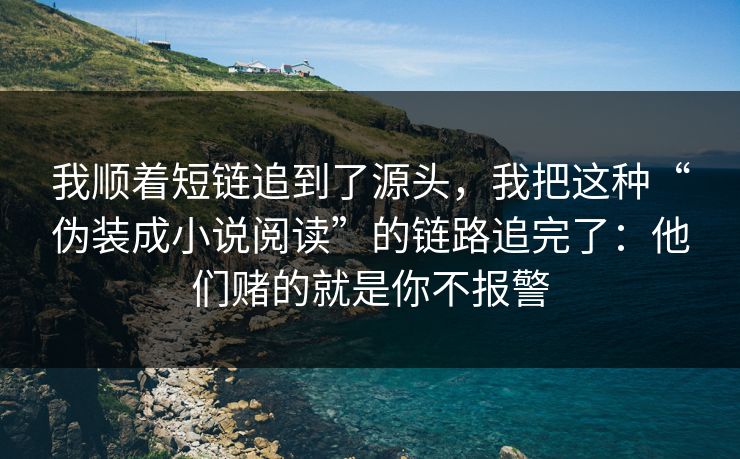 我顺着短链追到了源头，我把这种“伪装成小说阅读”的链路追完了：他们赌的就是你不报警