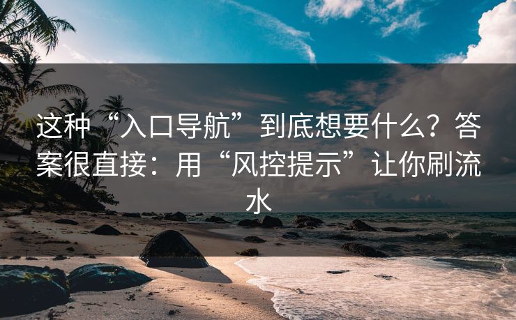 这种“入口导航”到底想要什么?答案很直接:用“风控提示”让你刷流水 这种“入口导航”到底想要什么?答案很直接:用“风控提示”让你刷流水