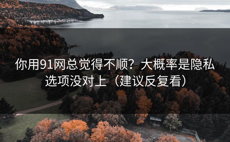 你用91网总觉得不顺？大概率是隐私选项没对上（建议反复看）